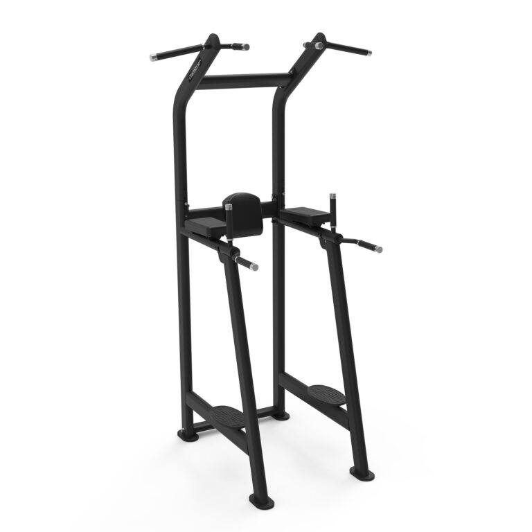s550 CHIN UP/DIP BENCH
